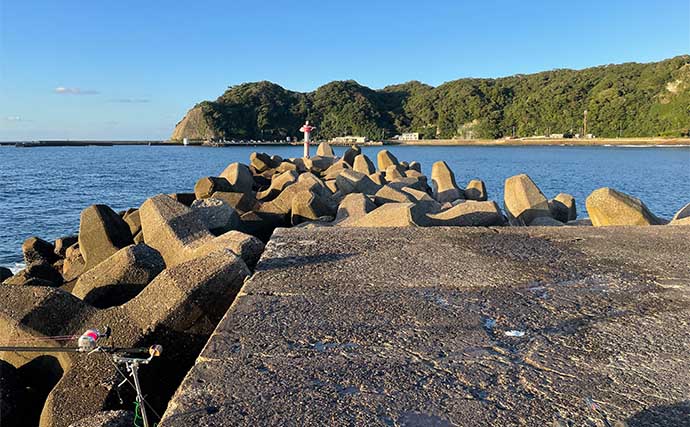 堤防フカセ釣りでアジ連発【千葉・興津東港】サビキ仕掛けには入れ食いタイムも