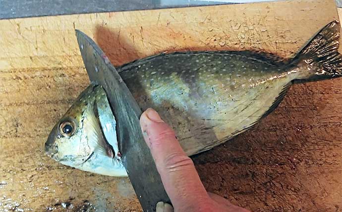 釣魚で作る「酒の肴」レシピ：バリ（アイゴ）の細切り　強めに焼く【やっきり】が基本