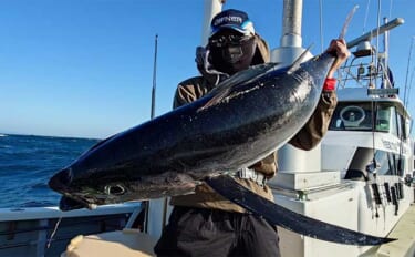 「トンボジギングシーズン開幕！」トロ丸での釣行で17kgビンチョウマグロ手中【三重】