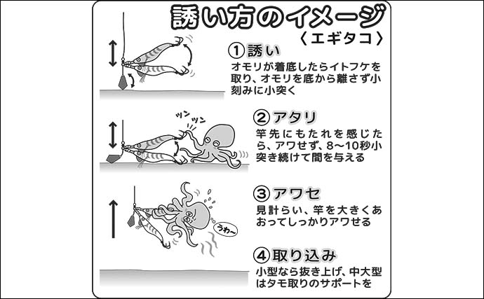 「大型マダコを狙い撃ち！」常磐沖エギタコ釣り攻略【タックル・仕掛け・釣り方を徹底解説】