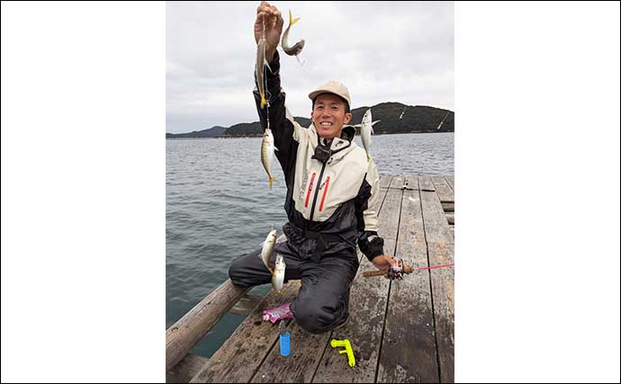 イカダでのサビキ釣りでアジ200匹オーバー爆釣！【三重・こじま渡船】入れ食いを堪能