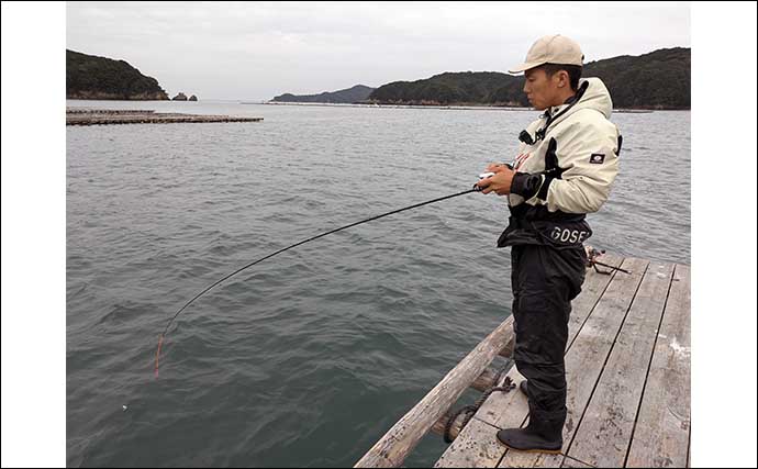 イカダでのサビキ釣りでアジ200匹オーバー爆釣！【三重・こじま渡船】入れ食いを堪能