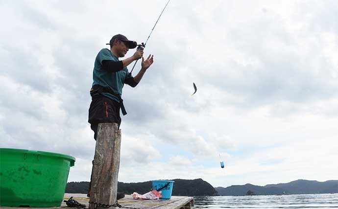 迫間浦でのイカダ五目釣りでアジにカワハギにチダイ【三重】泳がせ釣りにヒットした大物とは？