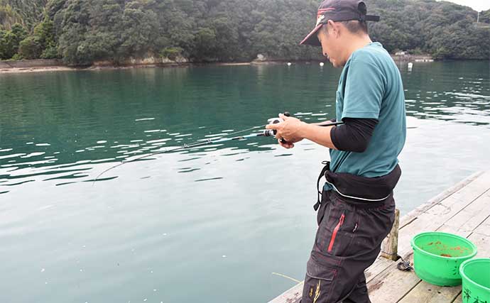 迫間浦でのイカダ五目釣りでアジにカワハギにチダイ【三重】泳がせ釣りにヒットした大物とは？