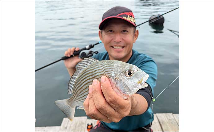 迫間浦でのイカダ五目釣りでアジにカワハギにチダイ【三重】泳がせ釣りにヒットした大物とは？