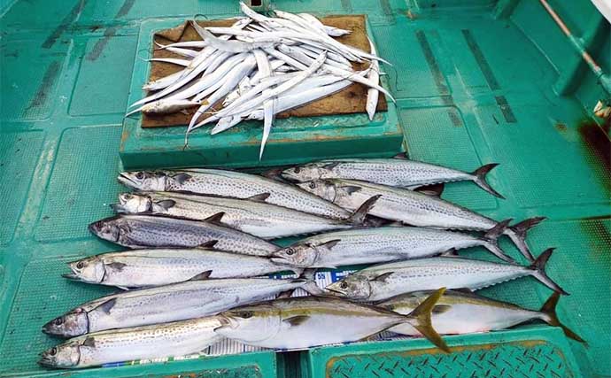 【船釣り釣果速報】50cm級筆頭に良型のシロアマダイを好捕！（三重）