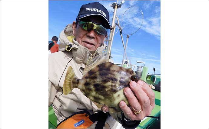 東京湾の船カワハギ釣りで良型続々！【千葉・吉野屋】30cm頭に釣る人11尾