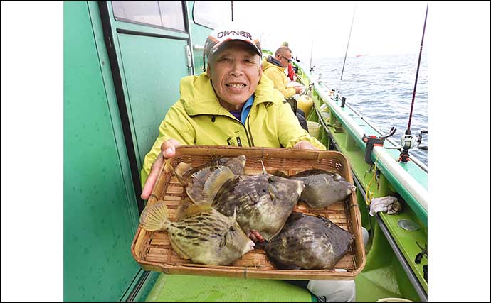 東京湾の船カワハギ釣りで良型続々！【千葉・吉野屋】30cm頭に釣る人11尾