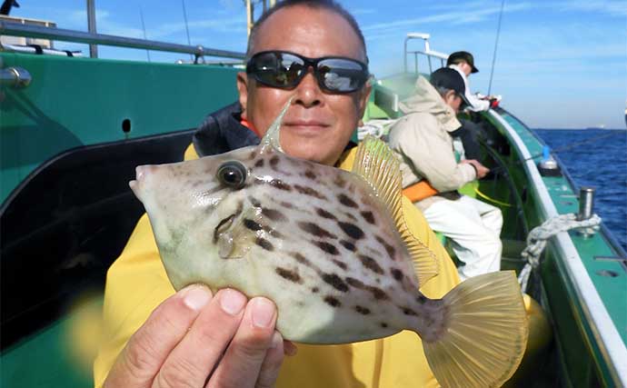 東京湾の船カワハギ釣りで良型続々！【千葉・吉野屋】30cm頭に釣る人11尾