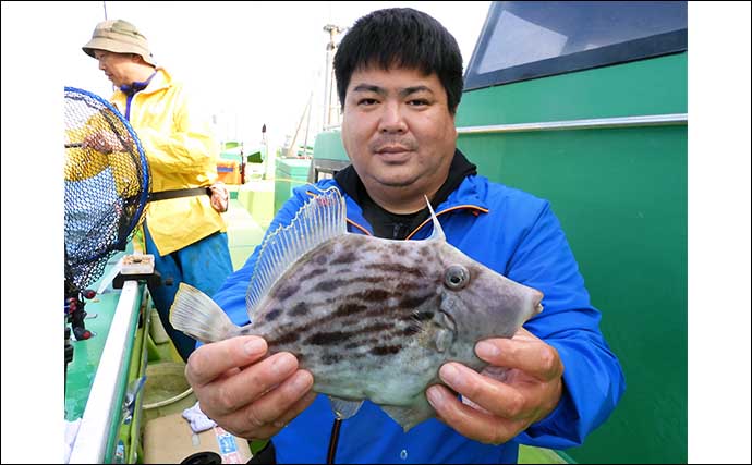 東京湾の船カワハギ釣りで良型続々！【千葉・吉野屋】30cm頭に釣る人11尾