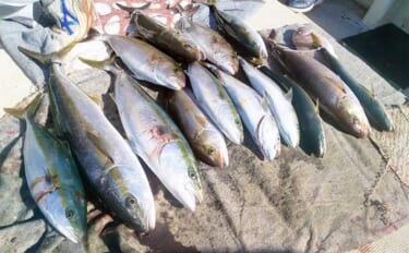 【船釣り釣果速報】早福沖の落とし込みでヒラマサにカンパチを連打！（長崎…