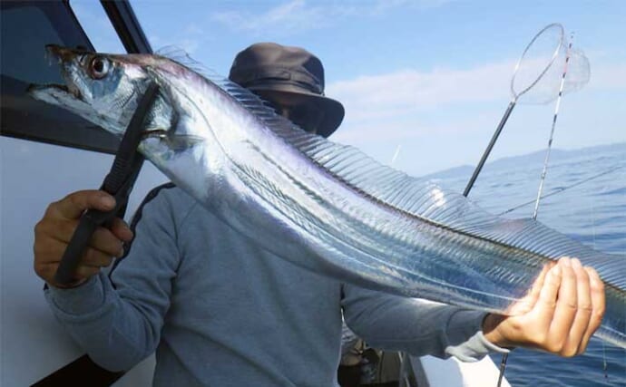 【船釣り釣果速報】テンヤタチウオ釣りで良型中心に好反応！（大分・熊本）