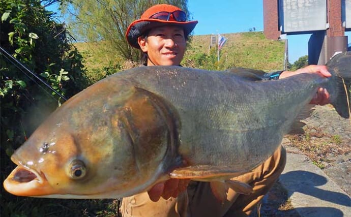 ハクレン釣りでツ抜け達成！【埼玉・荒川】メーター級筆頭に本命10尾と絶好調