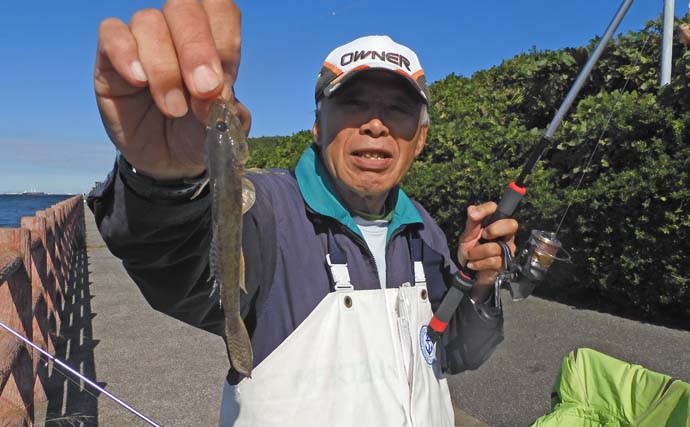 富津みなと公園のチョイ投げ釣りで良型キスとハゼ合計15尾をキャッチ【千葉】