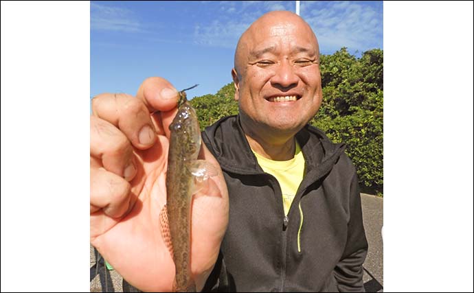 富津みなと公園のチョイ投げ釣りで良型キスとハゼ合計15尾をキャッチ【千葉】