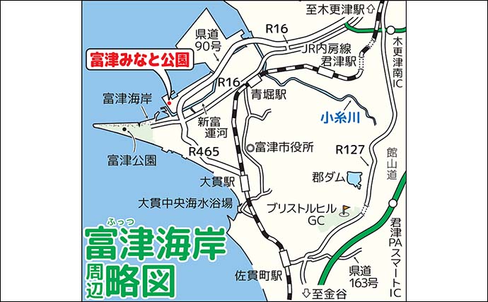 富津みなと公園のチョイ投げ釣りで良型キスとハゼ合計15尾をキャッチ【千葉】