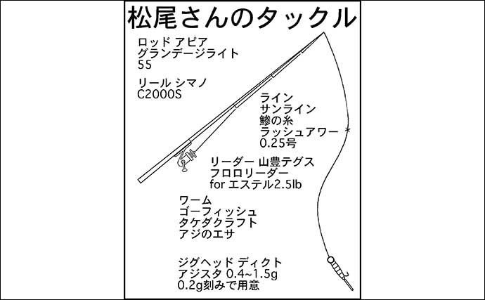 「全国で大人気！」陸っぱりアジング入門解説 【タックル・ルアー・釣り方を解説】