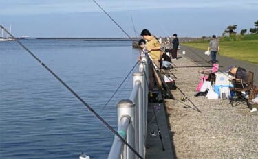 木更津港での投げサビキ釣りで10cm級のアジ10尾キャッチ【千葉】周囲ではヒラメもヒット