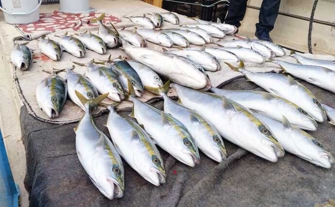 【船釣り釣果速報】早福沖の落とし込み釣りでヒラマサにヤズが連発！（長崎・佐賀）