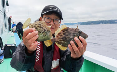 東京湾の船カワハギ釣りで船中トップ10尾【神奈川・剣崎】潮動かず苦戦