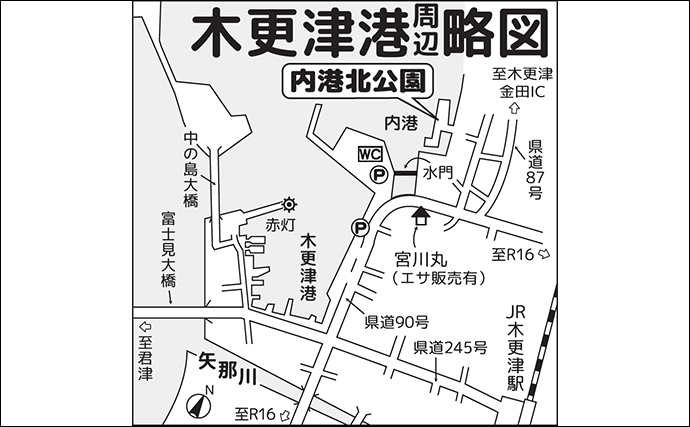 木更津・内港北公園でのハゼ釣りで18cm頭に20尾【千葉】ちょい投げよりノベ竿に本命ヒット