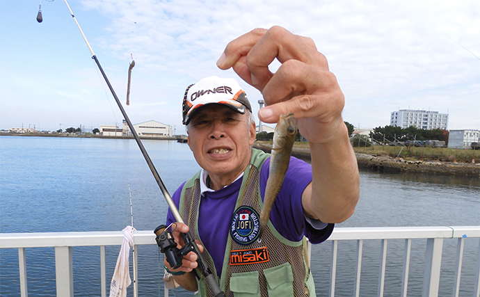 木更津・内港北公園でのハゼ釣りで18cm頭に20尾【千葉】ちょい投げよりノベ竿に本命ヒット