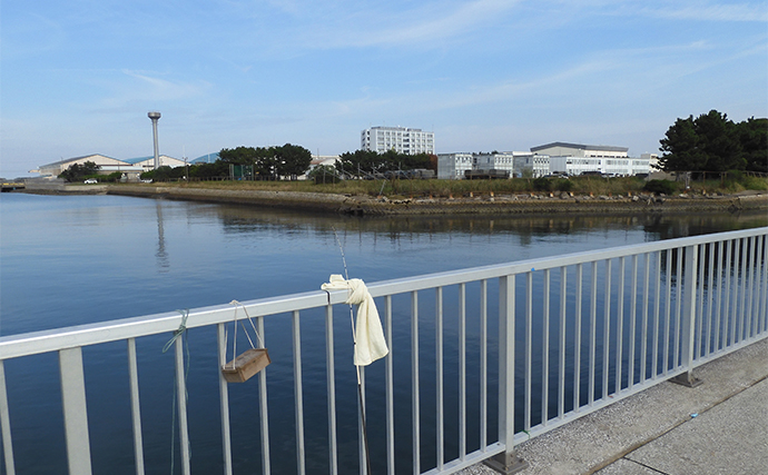 木更津・内港北公園でのハゼ釣りで18cm頭に20尾【千葉】ちょい投げよりノベ竿に本命ヒット