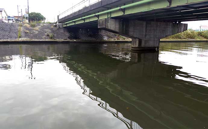 村田川でのルアーシーバス釣行で50cm級頭に本命2匹【千葉】良型はワームにヒット