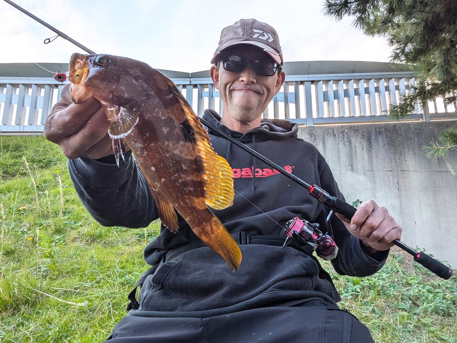 淡路島でのお気軽ライトゲームでサヨリにアコウにガシラを好捕【兵庫県】