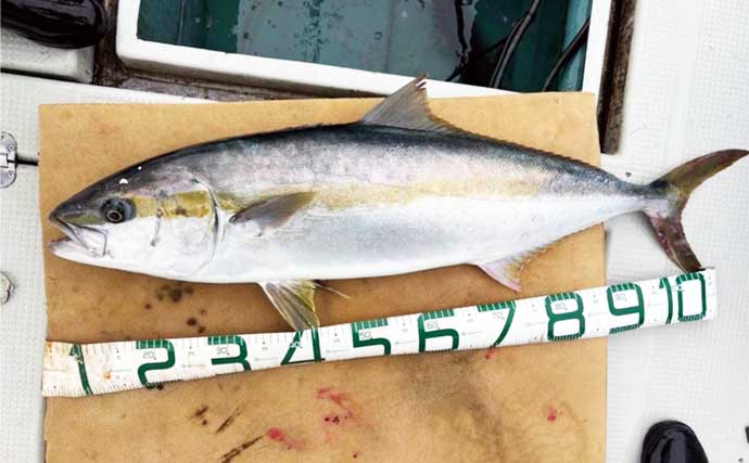 【落とし込み最新釣果】船長も驚く入れ食いで船上はサカナだらけ！（福岡）