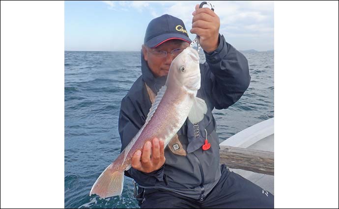 鳥羽沖の浅場タイラバ釣行でマダイを連打！【三重・丸安丸】53cmシロアマダイも浮上