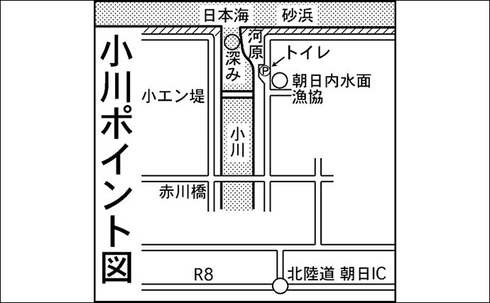 「サケ有効利用調査」釣行で68cmメスをキャッチ【富山・小川】高水と濁りに苦戦