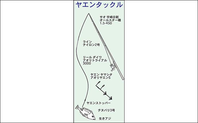 アオリイカを求めてイカダでエギング＆ヤエン釣り【三重・迫間浦】500g頭にアオリにオオモンハタも手中