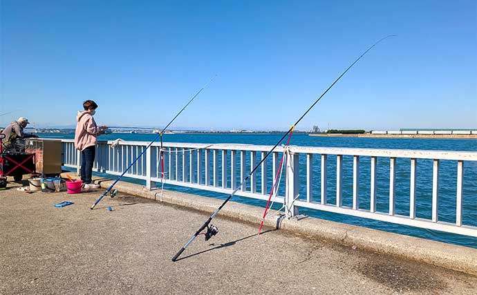 『碧南海釣り広場』でのサビキ釣りでサッパ56匹手中【愛知】唐揚げはビールのアテに最高