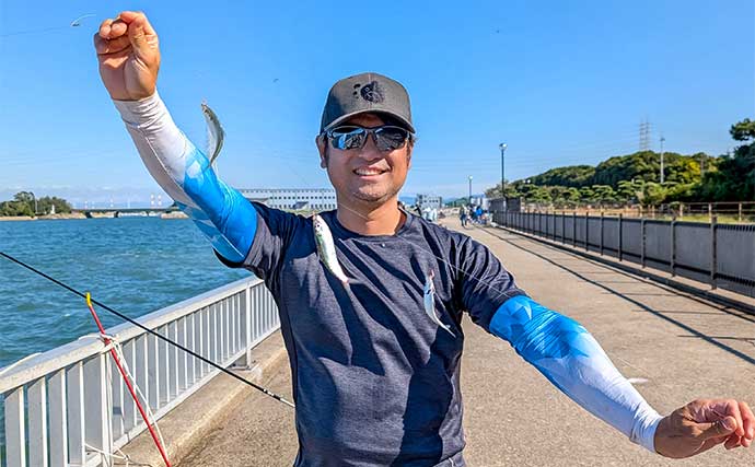 『碧南海釣り広場』でのサビキ釣りでサッパ56匹手中【愛知】唐揚げはビールのアテに最高