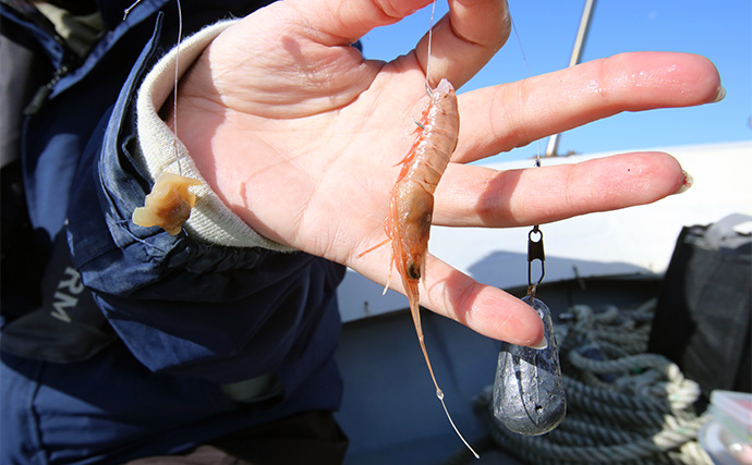 「ふりかけ」はカワハギ釣りと相性抜群？【釣り飯・釣魚グルメが簡単ひと手間で絶品料理に】