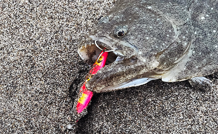 曇天の秋田県南エリアでサーフルアーフィッシング 40cm超えヒラメを
