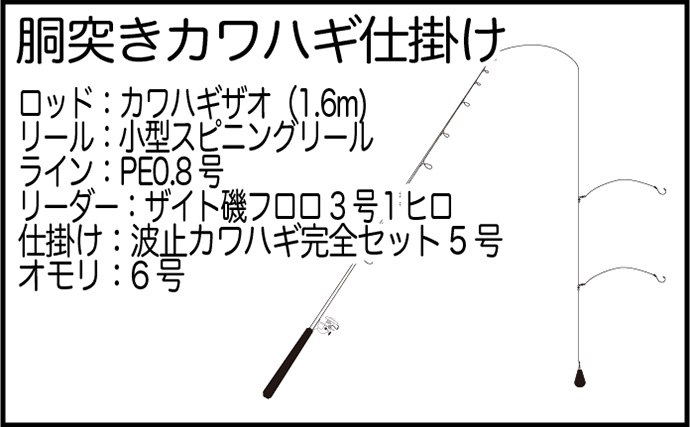 堤防カワハギ釣りで2ケタ釣果【熊本・天草】胴突き仕掛けの「誘い上げ」が的中