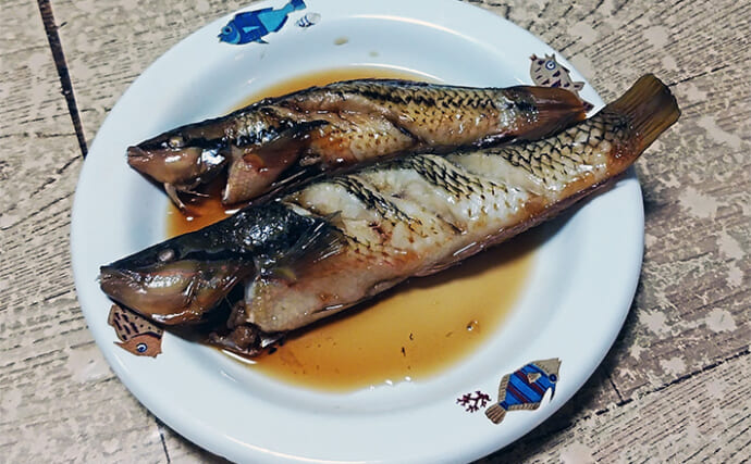 釣魚で作る「煮付けの王様」レシピ：キュウセンベラのサッと煮　これぞ釣り人の特権