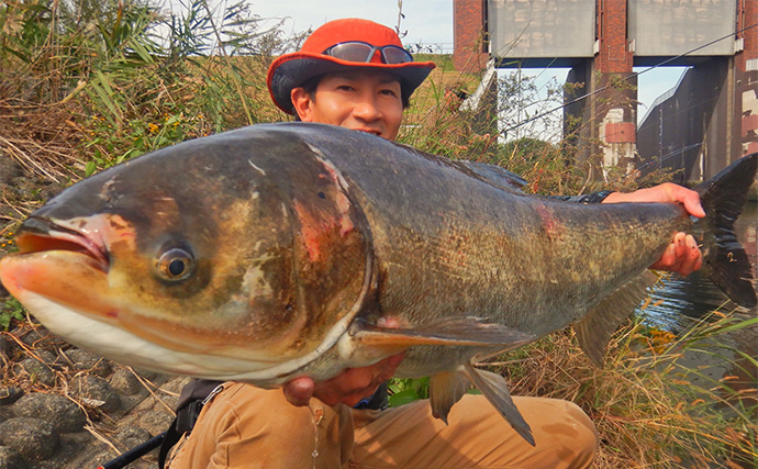 荒川ハクレン釣りで1m超え筆頭に本命7尾キャッチ【埼玉】自作の釣台導入で快適釣行