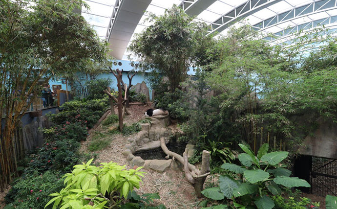 「規模も完成度も圧倒的！」世界最大級の水族館『River Wonders』を歩く　パンダまで展示？