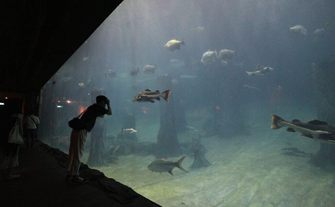 「規模も完成度も圧倒的！」世界最大級の水族館『River Wonders』を歩く　パンダまで展示？