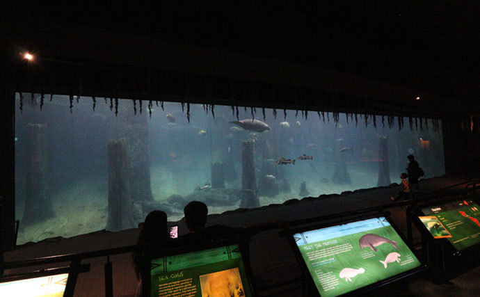 「規模も完成度も圧倒的！」世界最大級の水族館『River Wonders』を歩く　パンダまで展示？