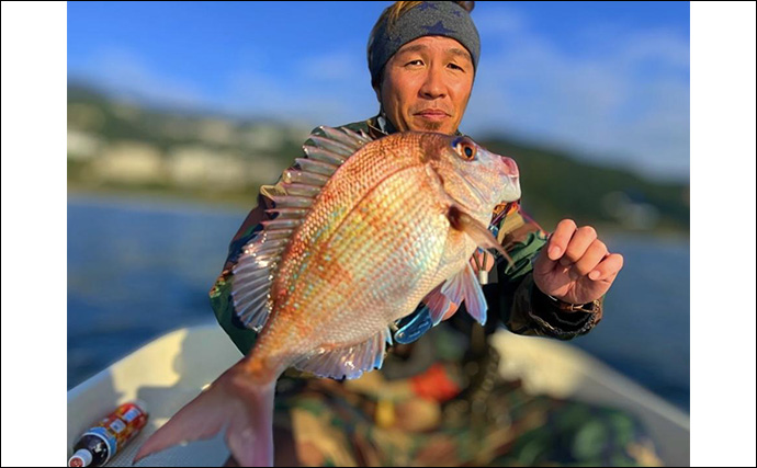 真鶴半島でのレンタルボート釣りでワラサにマダイにアオリイカ！【神奈川・茂木ボート】