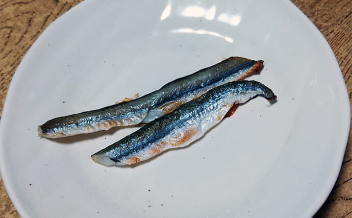 釣ったゲスト魚で作る「簡単」レシピ：ダツの一夜干し　大名おろしで楽々下処理