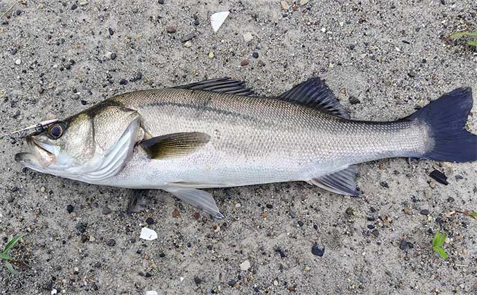 「釣り人の頭皮が危ない？」釣り場に潜む脅威から髪の毛を守る方法を解説