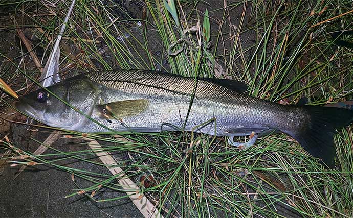 「釣り人の頭皮が危ない？」釣り場に潜む脅威から髪の毛を守る方法を解説