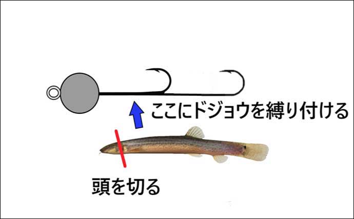 「ドジョウでヒラメを釣る？」 淡路島の現役船長に聞く伝統釣法『テンヤヒラメ釣り』