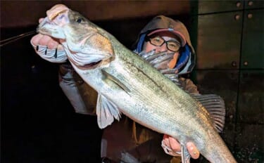 【沖のルアー釣果速報】ナイトシーバス便で極太の本命を複数キャッチ成功！…