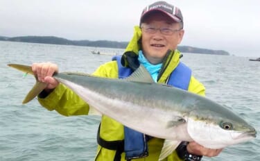 イカダから釣ったアジを泳がせて82cmブリをキャッチ！【三重・案乗釣セ…